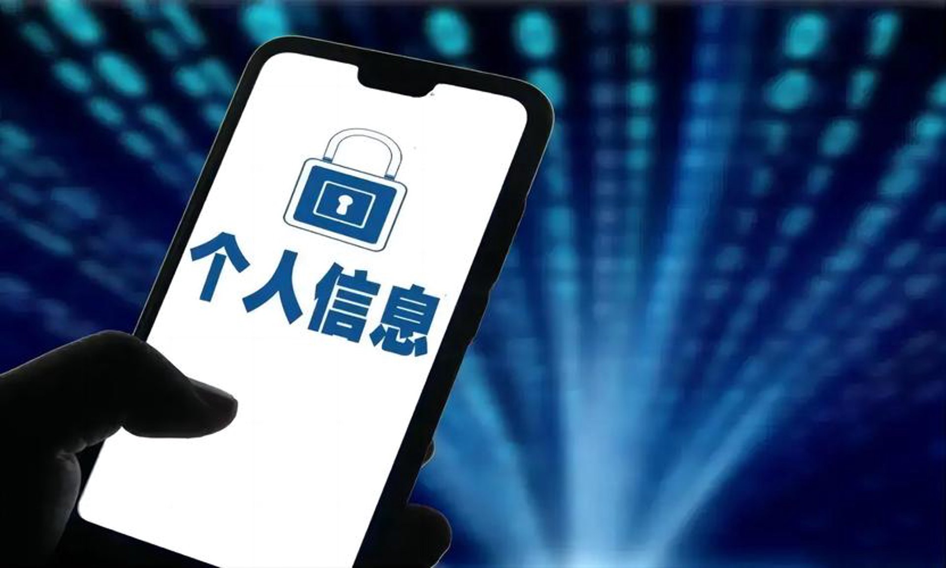 信辰网络科技